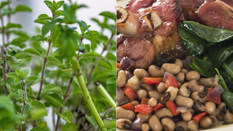 marjoram and canned black-eyed peas side by side