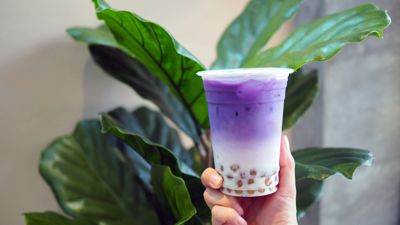 Hand holding purple ube tea