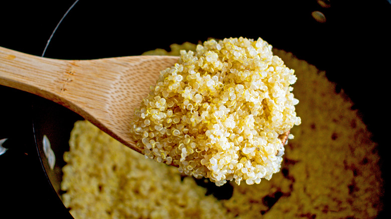 cooked quinoa in a pot on the stove