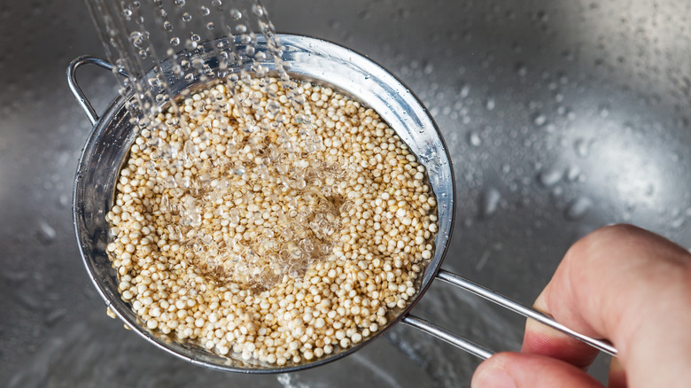 rinsing quinoa in a mesh sieve