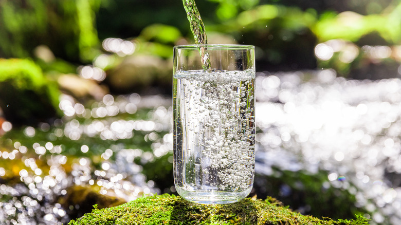 Mineral water in a clear glass against a green outdoor background