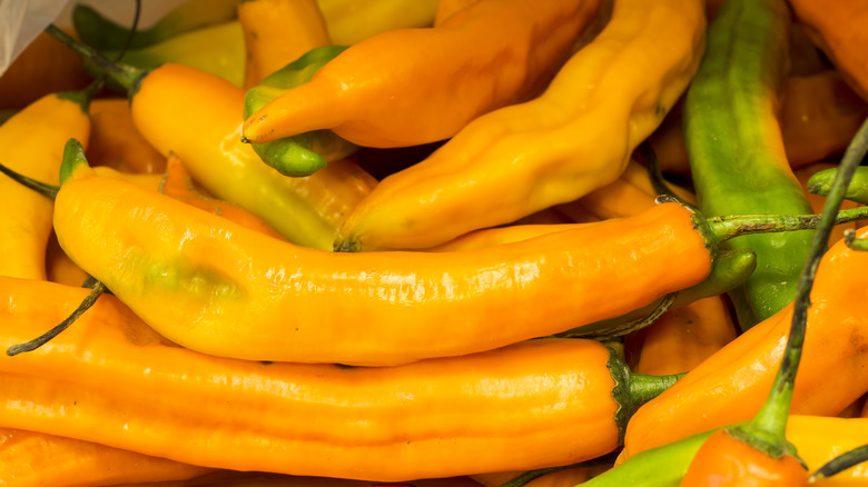 Pile of aji amarillo peppers