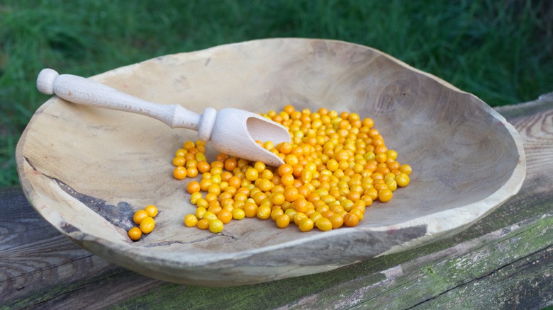 Dish of aji charapita peppers