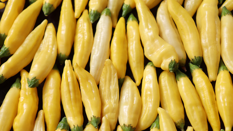 Pile of lemon drop peppers