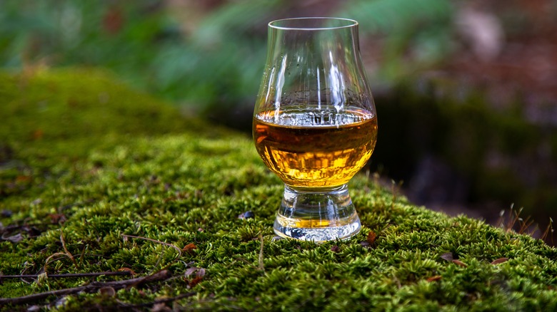 Glass of Scotch on mossy rock 