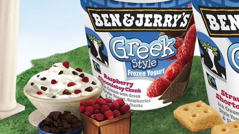 Raspberry Chocolatey Chunk Greek froyo 