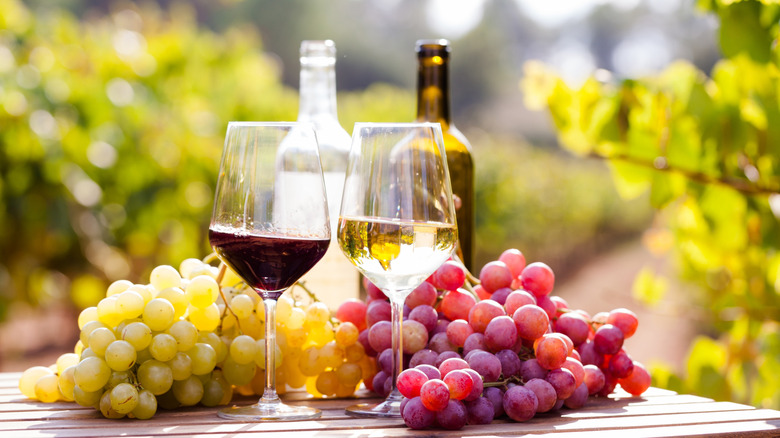 Glasses of red and white wine with grapes and bottles.