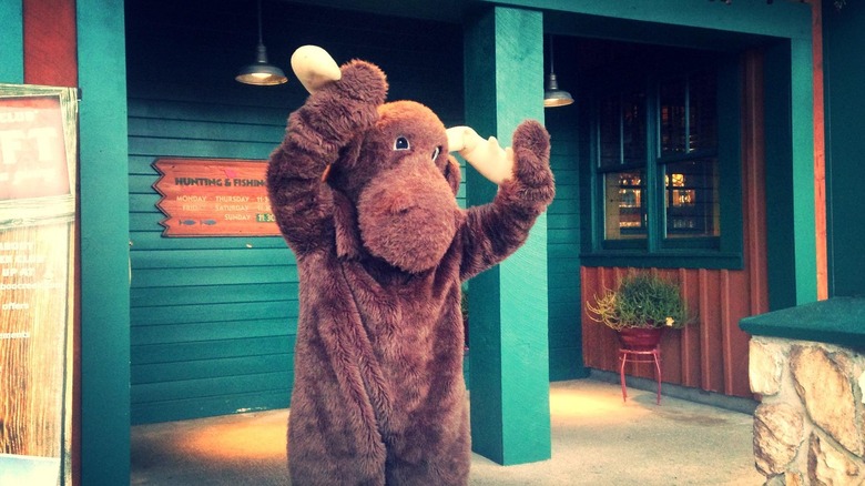 Dancing moose in front of Bugaboo Creek