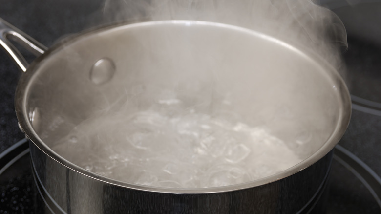 Boiling water in pot