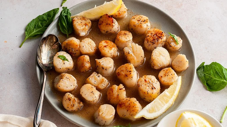 Top-down view of plated seared scallops