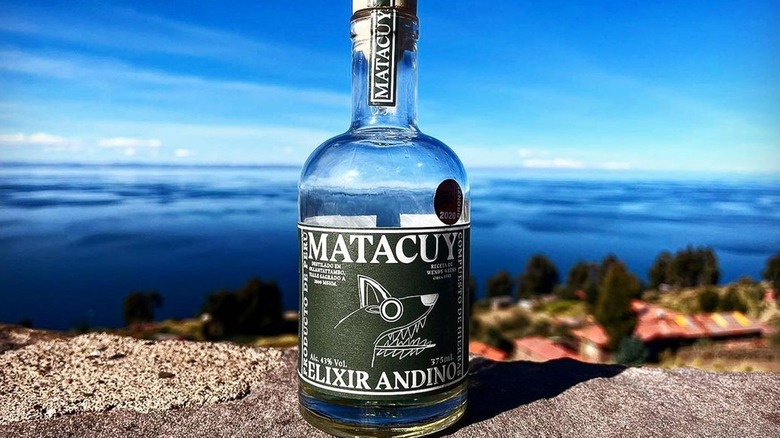 Bottle of Matacuy