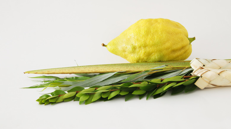 Sukkot four kinds of vegetation