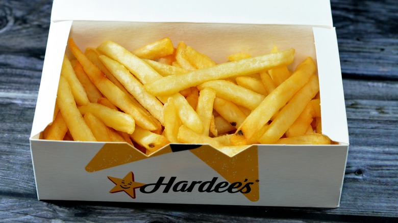 Hardee's fries