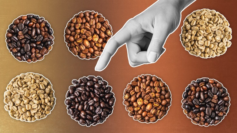 Hand pointing to coffee beans