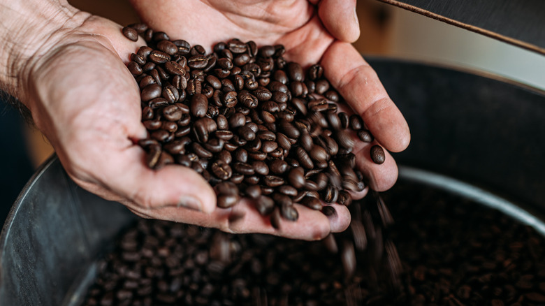 Hands holding coffee beans