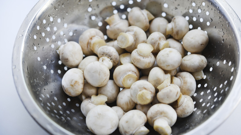 mushrooms in colander