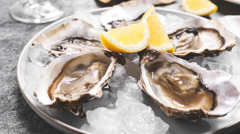 Oysters on half shells sevred over ice