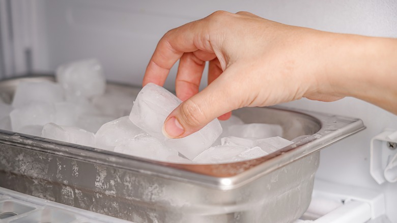 ice cubes in freezer