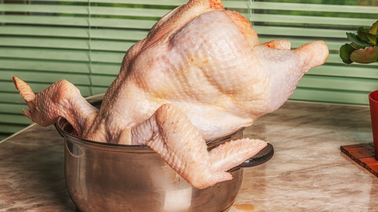 Raw turkey in metal pot on countertop