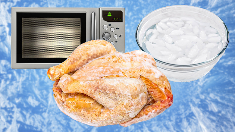 Microwave, frozen turkey, and bowl of ice in front of blue background