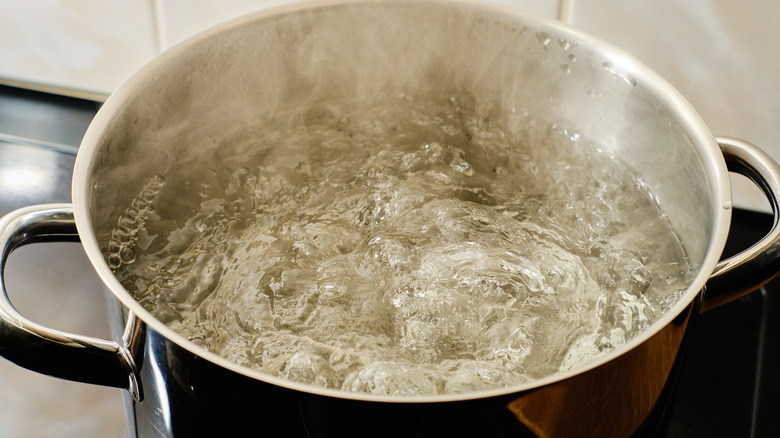 water boiling in pot