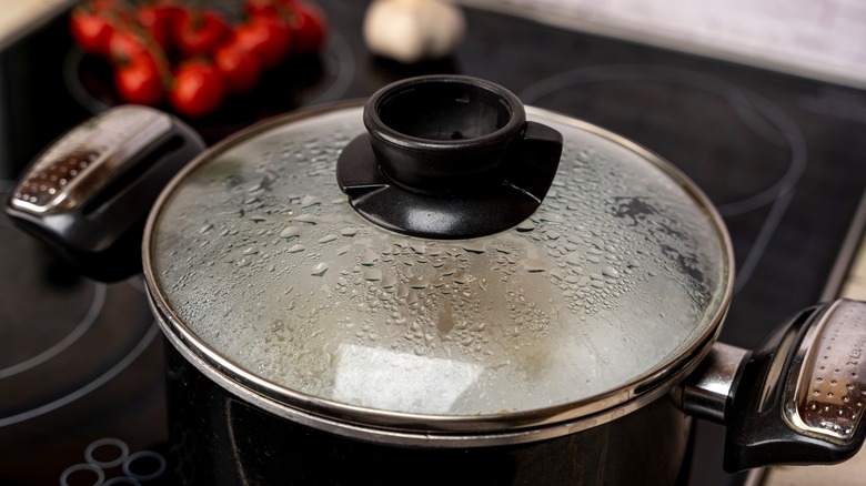 simmering pot with lid