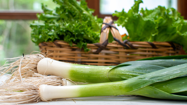 rinsed leeks on counter