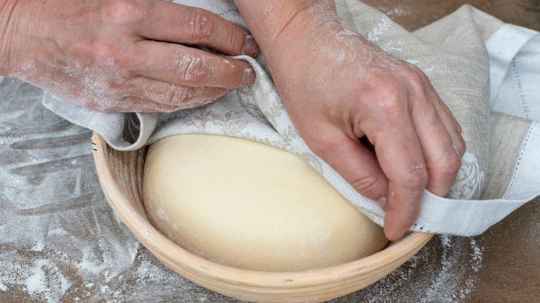 Checking rising bread