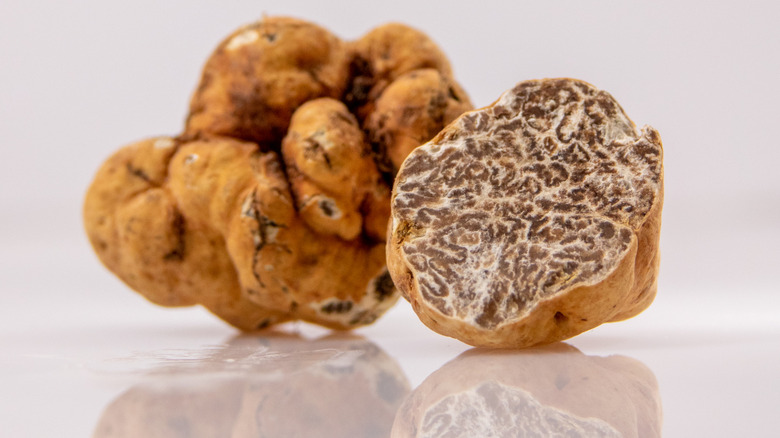 Two bianchetto truffles on a white background, the front truffle is sliced open and the one in the back is left whole