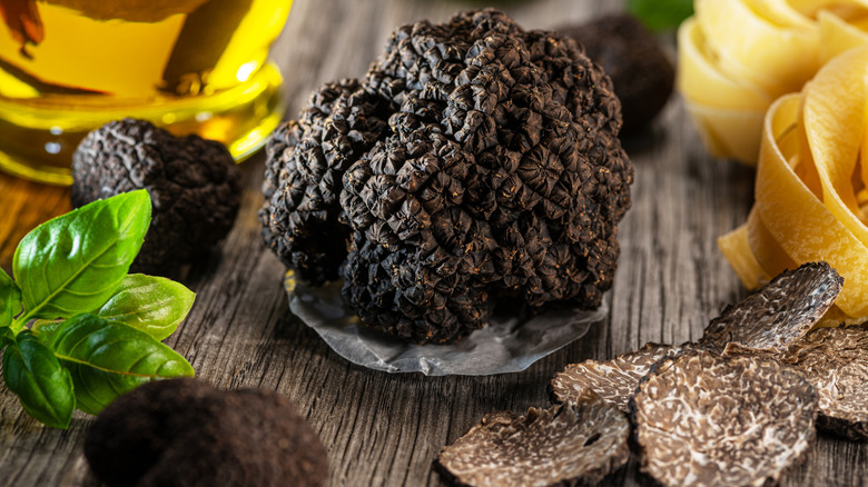 Whole perigord truffle in the center surrounded by smaller truffle, truffle shavings fresh basil, olive oil, and pasta ribbons