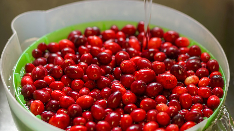 rinsing cranberries in bowl