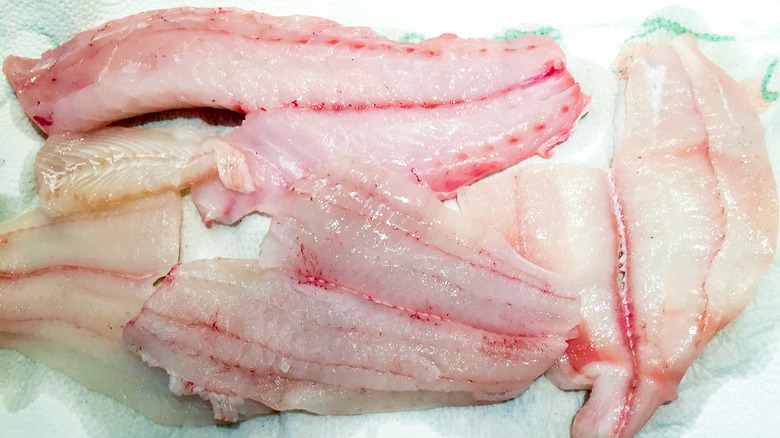 raw fish on paper towel