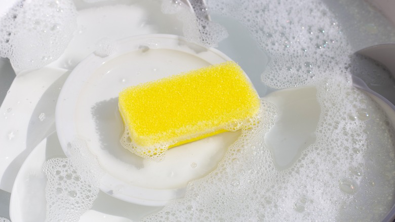 Yellow sponge and soapy plates