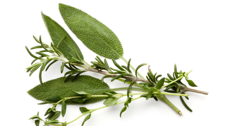 fresh rosemary sage and thyme herbs