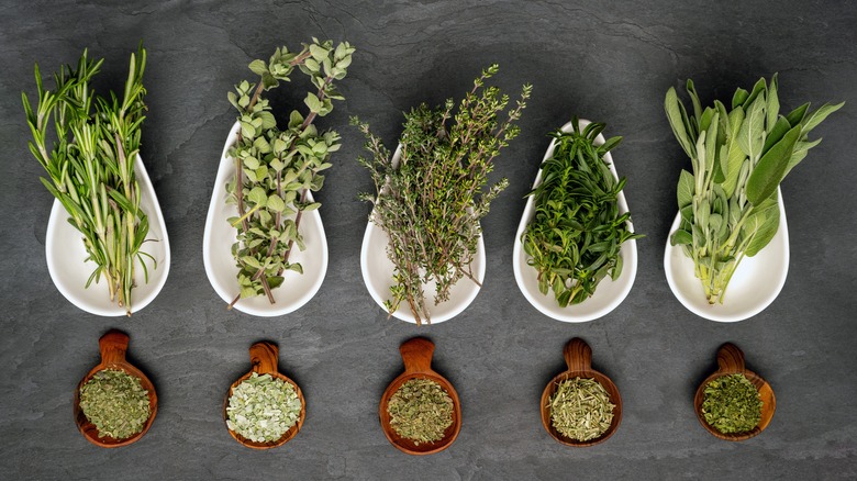 Five fresh herbs and dry counterparts
