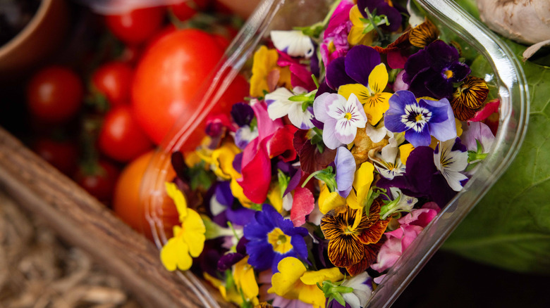 Several varieties of edible flowers in plastic container