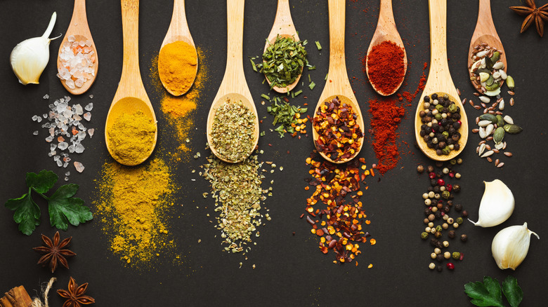 Salt and various spices displayed on spoons
