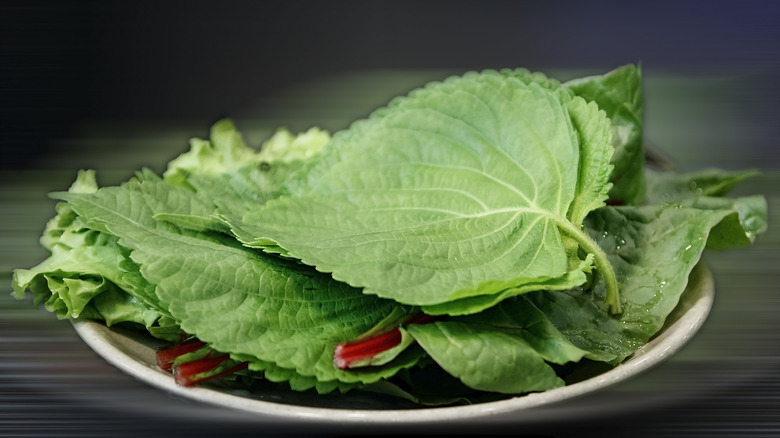 Bouquet of perilla and other greens