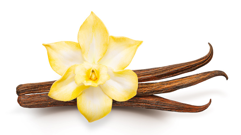 Vanilla beans and flower