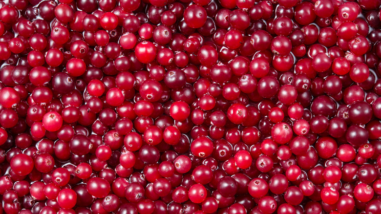 Red cranberries in water