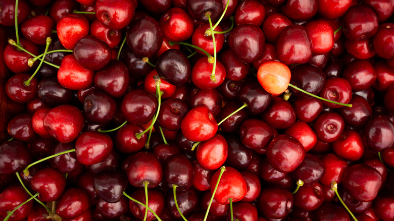 Red cherries with stems