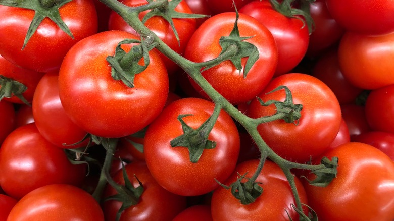 Red tomatoes on a vine