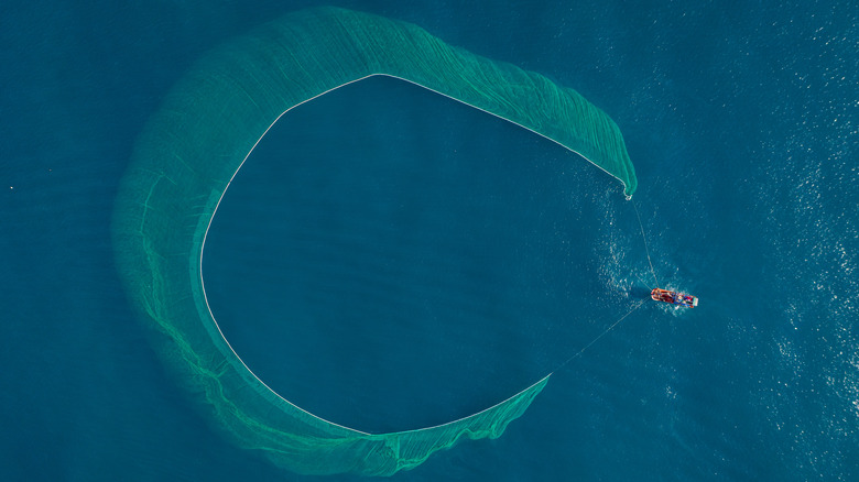 circular net behind fishing boat