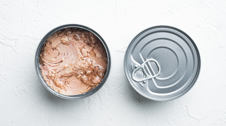 opened tuna can from above