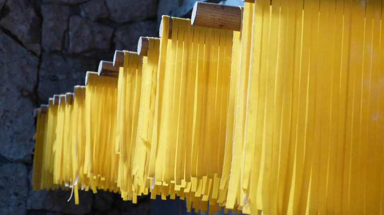 Long and flat pasta noodles hanging to dry