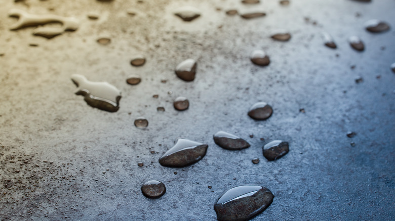 water droplets on griddle