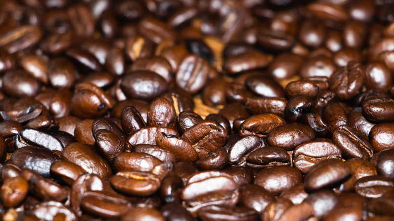 close up oily coffee beans