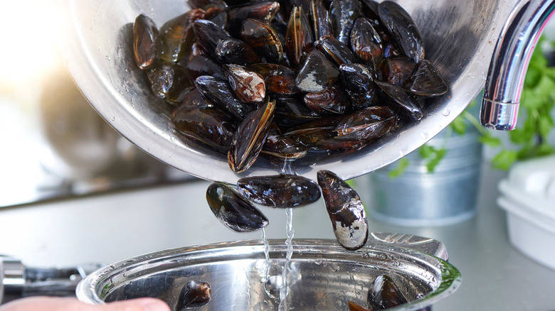 pouring mussels into a colander