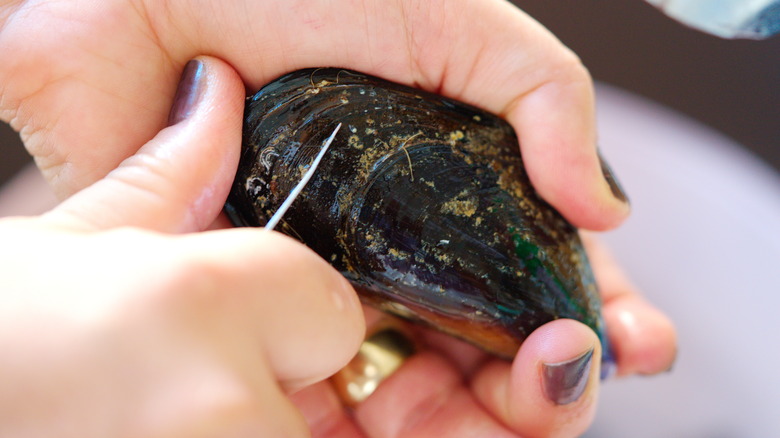 cleaning mussels