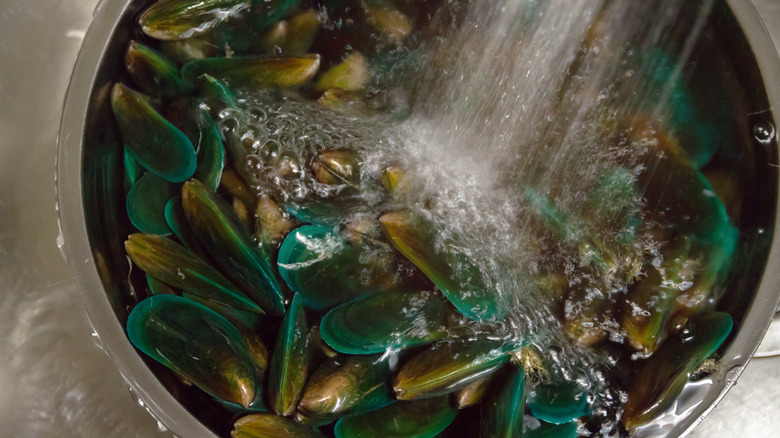 soaking mussels